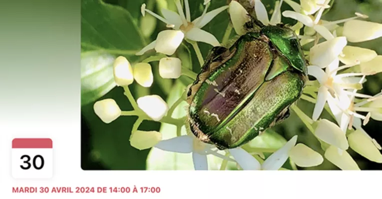 Workshop Macro 